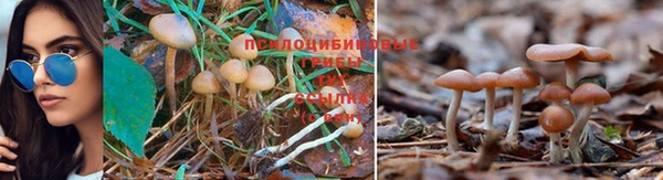 кокаин премиум Армянск