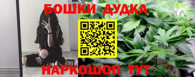 соль ск Новодвинск