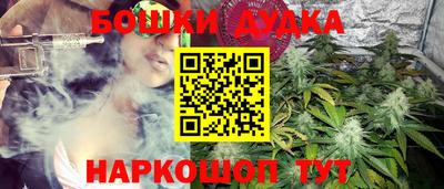 соль ск Новодвинск
