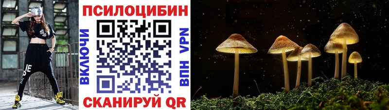 наркошоп  Усть-Джегута  Галлюциногенные грибы MAGIC MUSHROOMS 