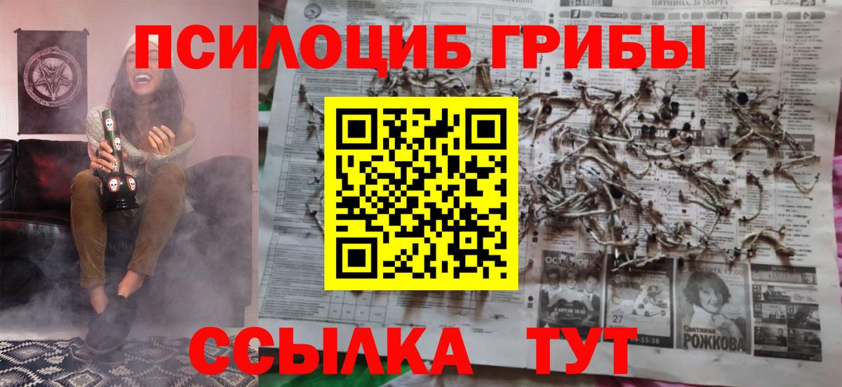 Галлюциногенные грибы Psilocybe Усть-Джегута