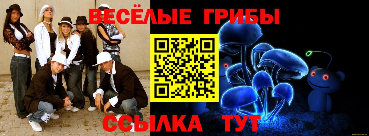 дарнет шоп  Псилоцибиновые грибы Psilocybine cubensis  Вход с VPN  Усть-Джегута 