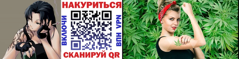 Каннабис MAZAR  Усть-Джегута 